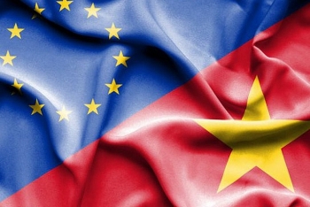 policies for vietnam to catch opportunities from eu market after evfta and evipa